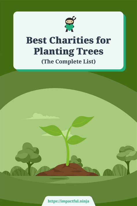 11 Best Charities for Planting Trees (Complete 2024 List).